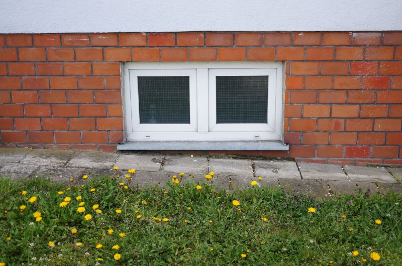 Basement Wall Removal